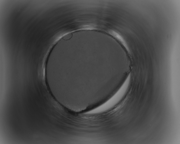X0000088621419200705251232