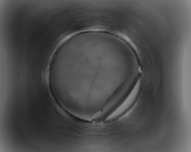 X0000088621421200705251232