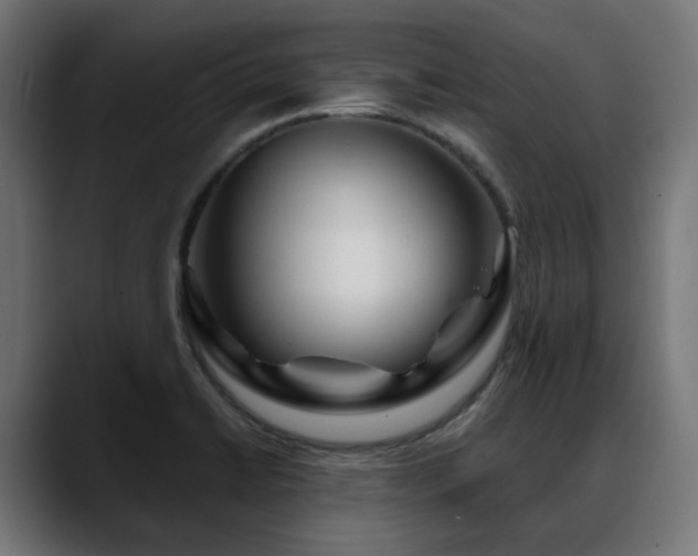 X0000088621422200705251232