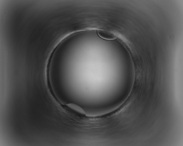 X0000088621423200705251232