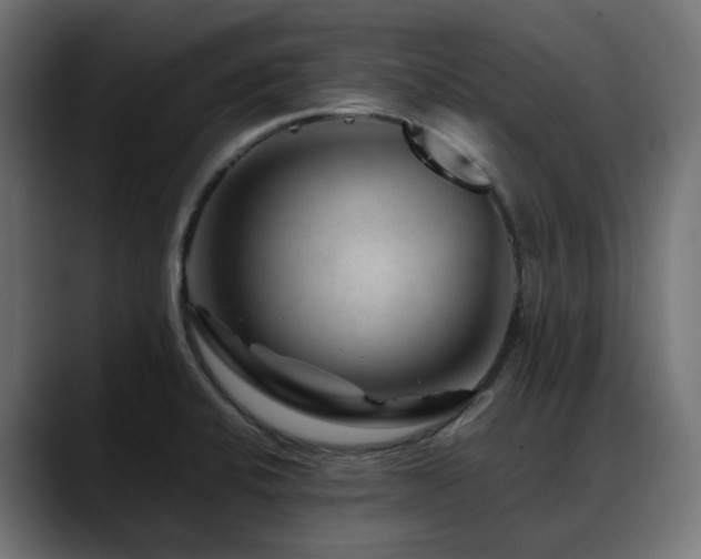 X0000088621424200705251232