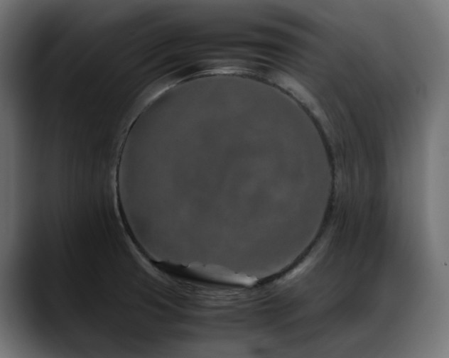 X0000088621425200705251232