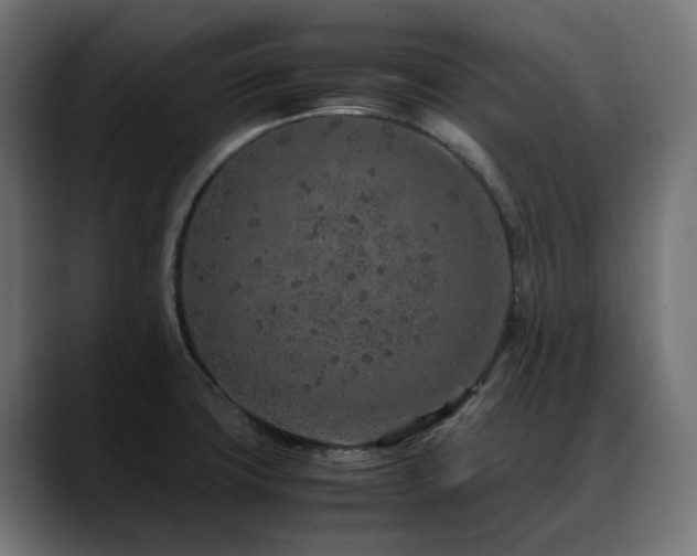 X0000088621427200705251232