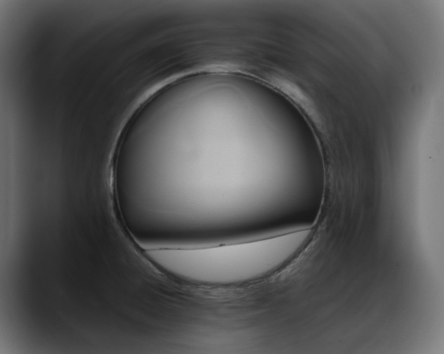 X0000088621428200705251232