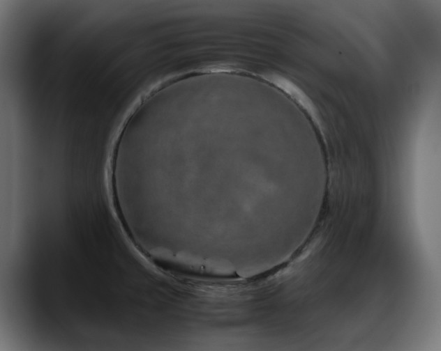 X0000088621429200705251232