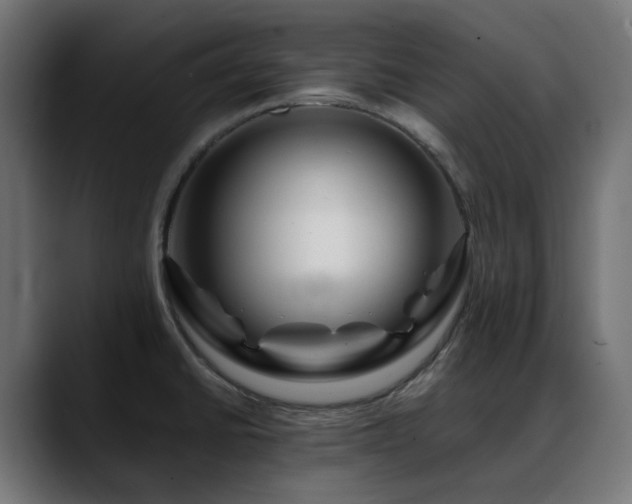 X0000088621430200705251232