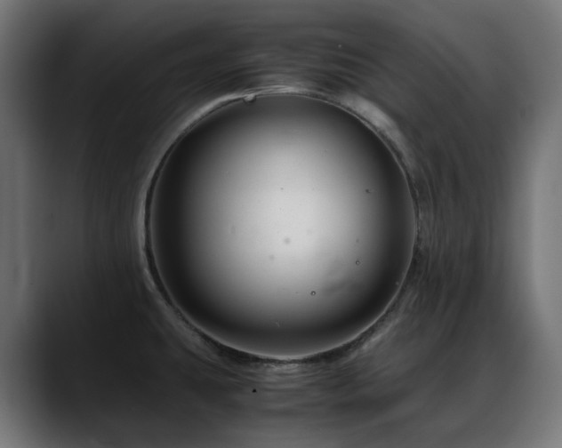 X0000088621431200705251232