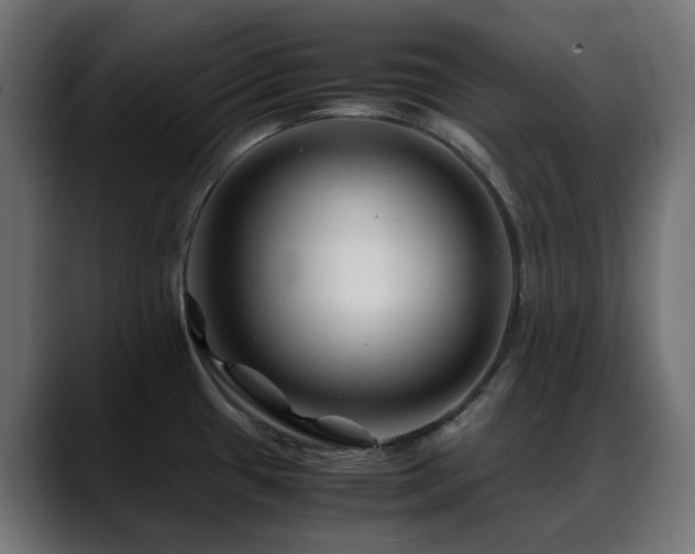 X0000088621433200705251232
