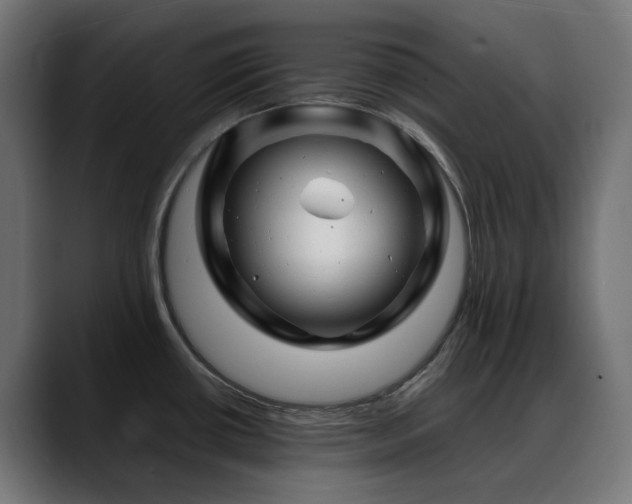 X0000088621434200705251232