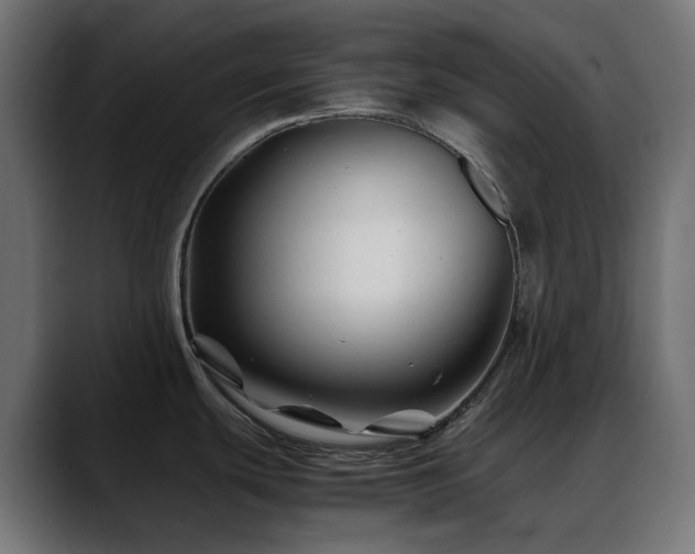 X0000088621439200705251232