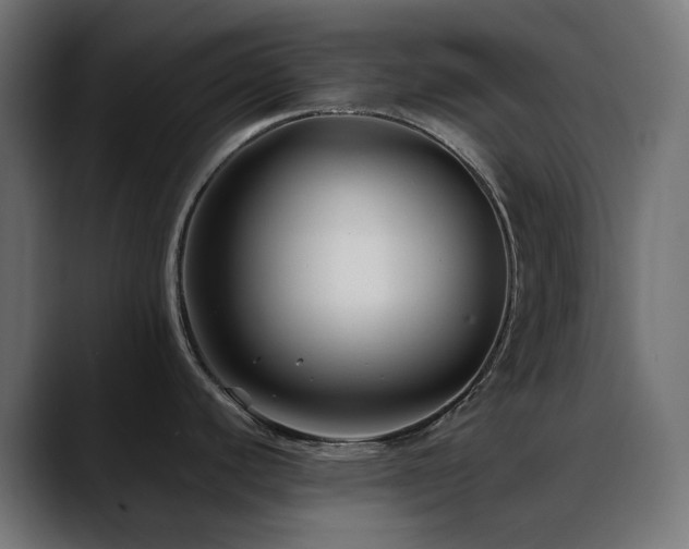 X0000088621440200705251232