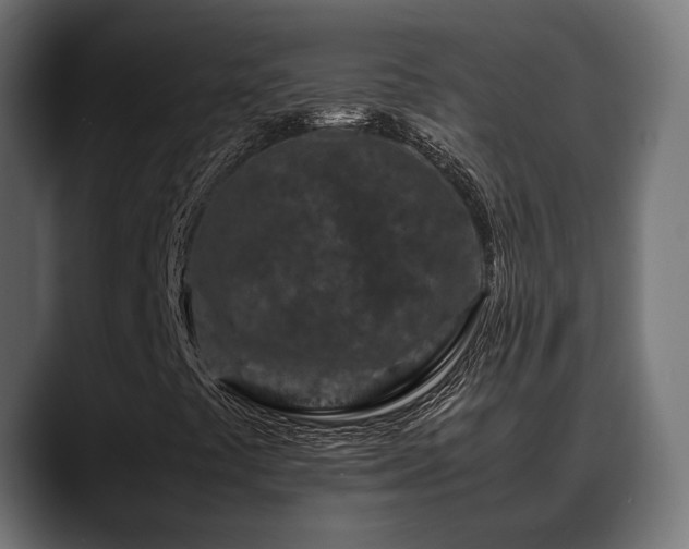 X0000088621441200705251231