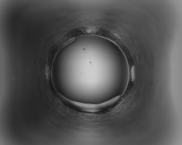 X0000088621443200705251231