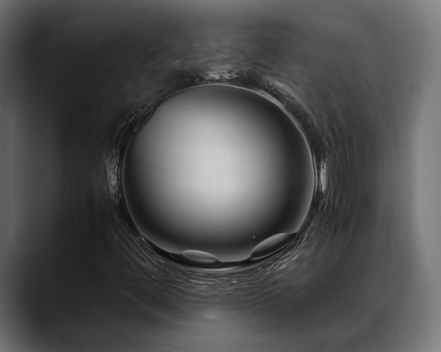 X0000088621444200705251231