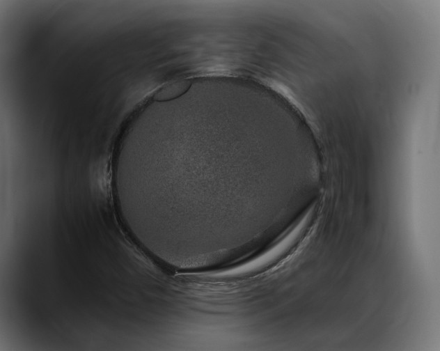 X0000088621450200705251231