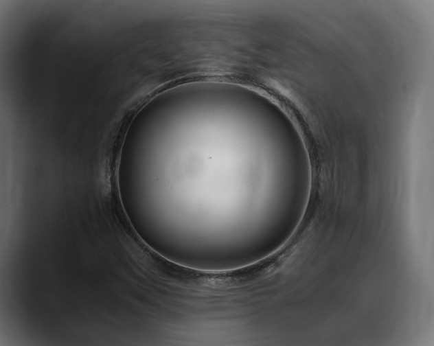 X0000088621451200705251231