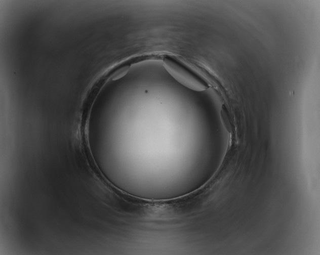 X0000088621452200705251231