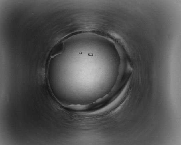 X0000088621457200705251231