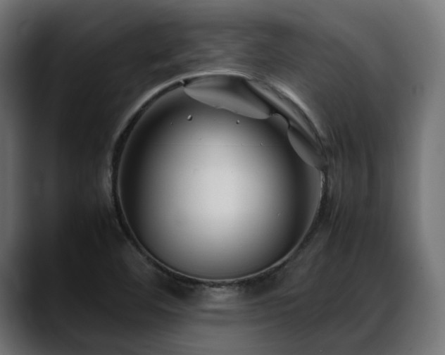 X0000088621460200705251231