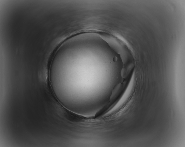 X0000088621461200705251231
