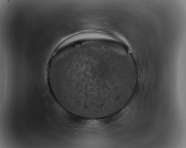 X0000088621463200705251231