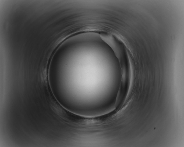 X0000088621465200705251231