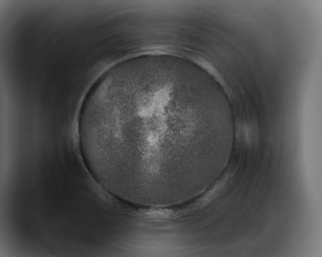 X0000088621466200705251231