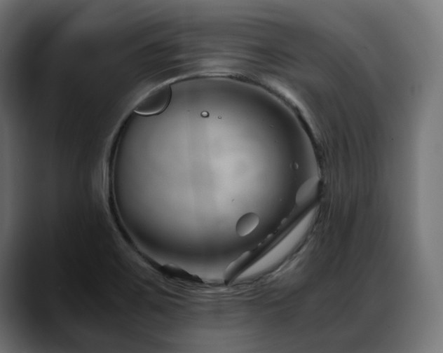 X0000088621467200705251231