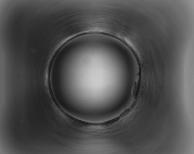X0000088621468200705251231