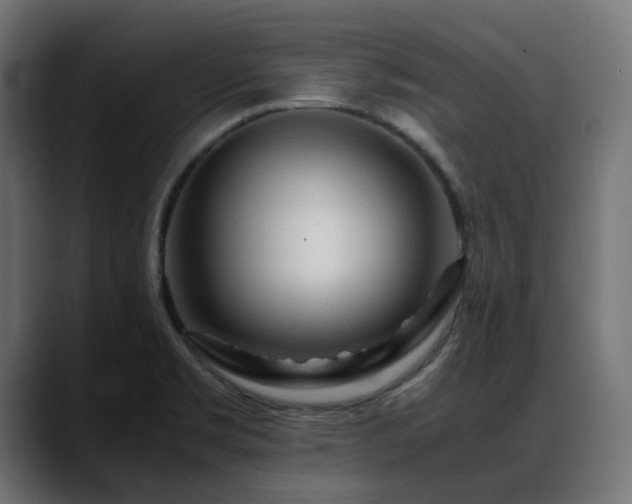X0000088621469200705251231