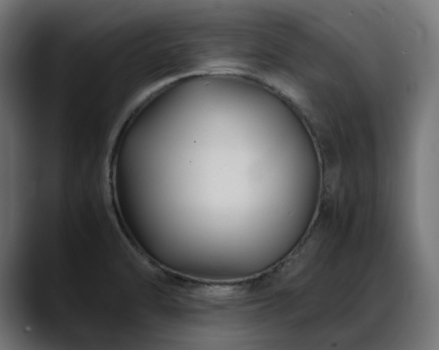 X0000088621470200705251231