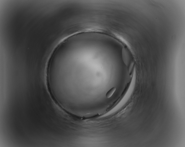 X0000088621471200705251231