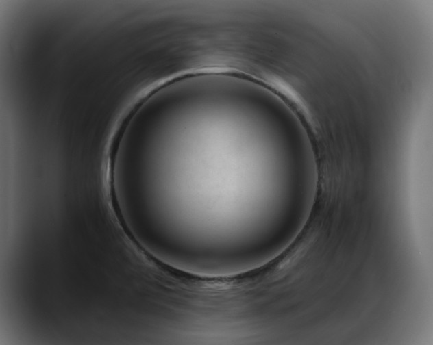 X0000088621472200705251231