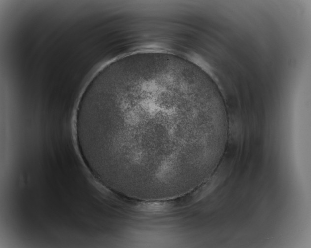 X0000088621474200705251231