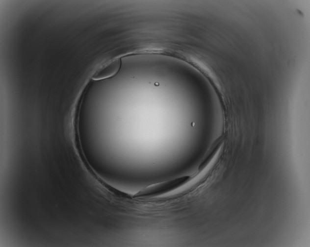 X0000088621475200705251231