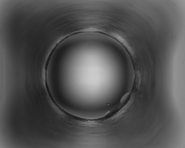 X0000088621476200705251231