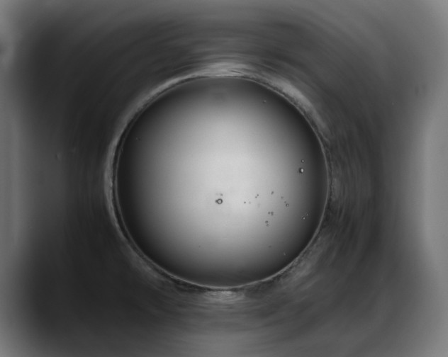X0000088621478200705251231
