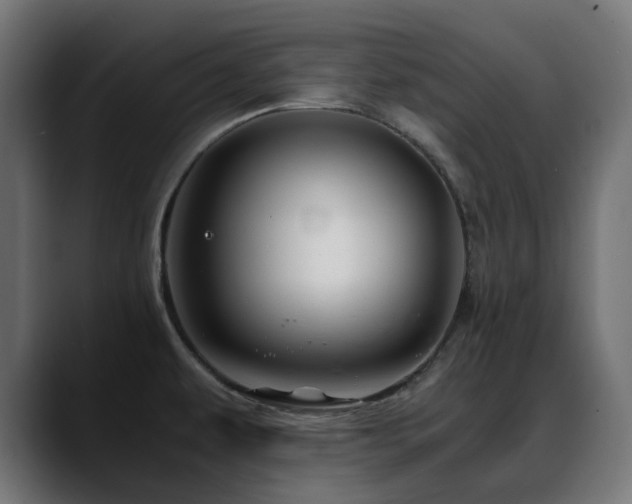 X0000088621479200705251231