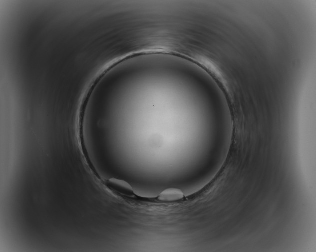 X0000088621480200705251231