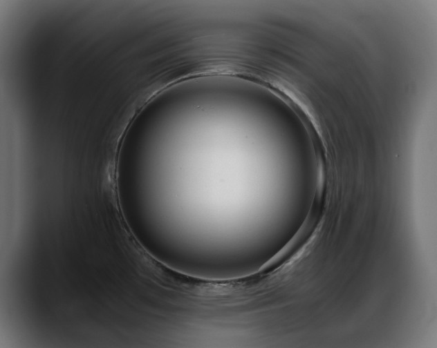 X0000088621481200705251231