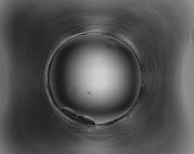 X0000088621483200705251231