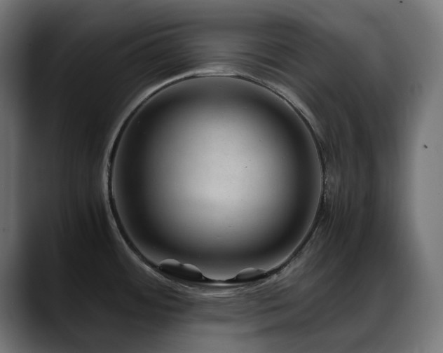 X0000088621484200705251231