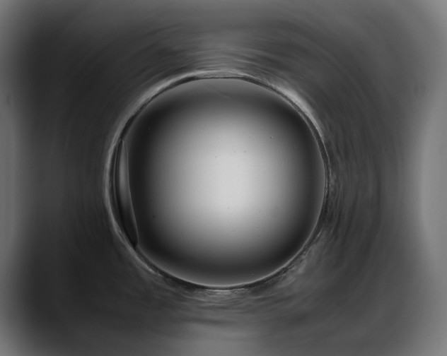 X0000088621485200705251231