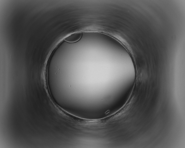 X0000088621486200705251231