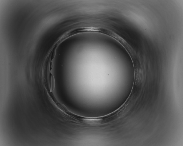 X0000088621487200705251231