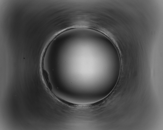 X0000088621488200705251231