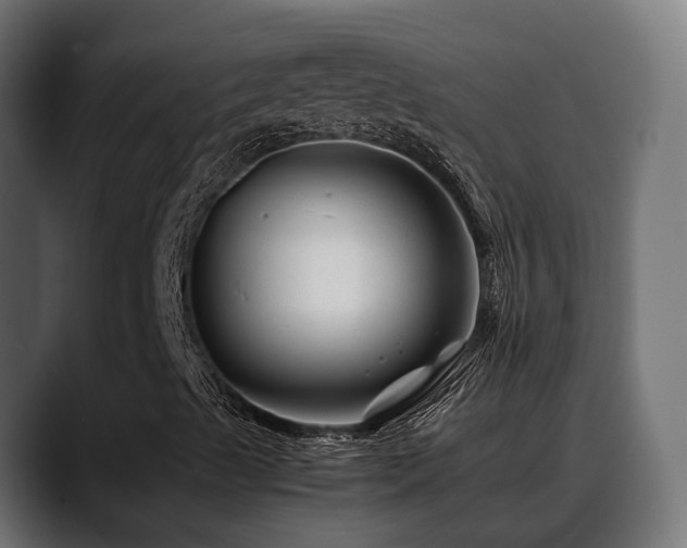 X0000088621489200705251230
