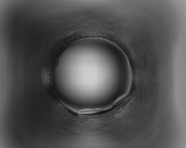 X0000088621490200705251230