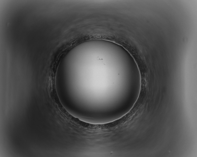 X0000088621493200705251230