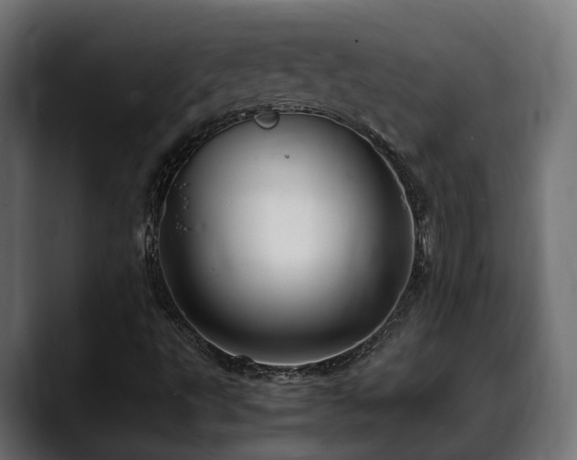 X0000088621495200705251230
